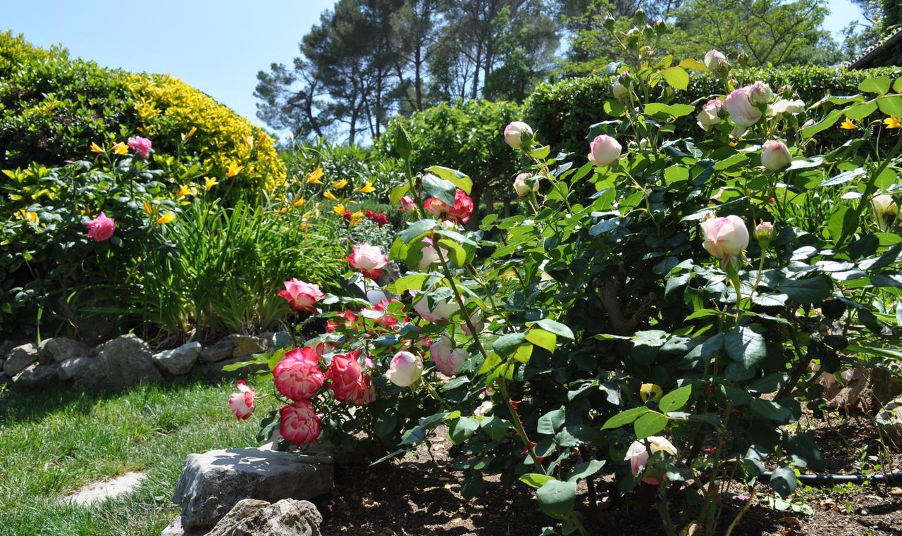 La Begude Du Pascouren Fayence Exterior photo